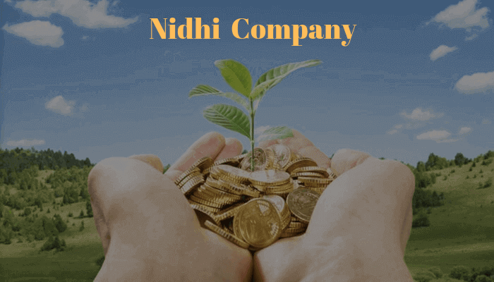 Nidhi Company Annual Filing