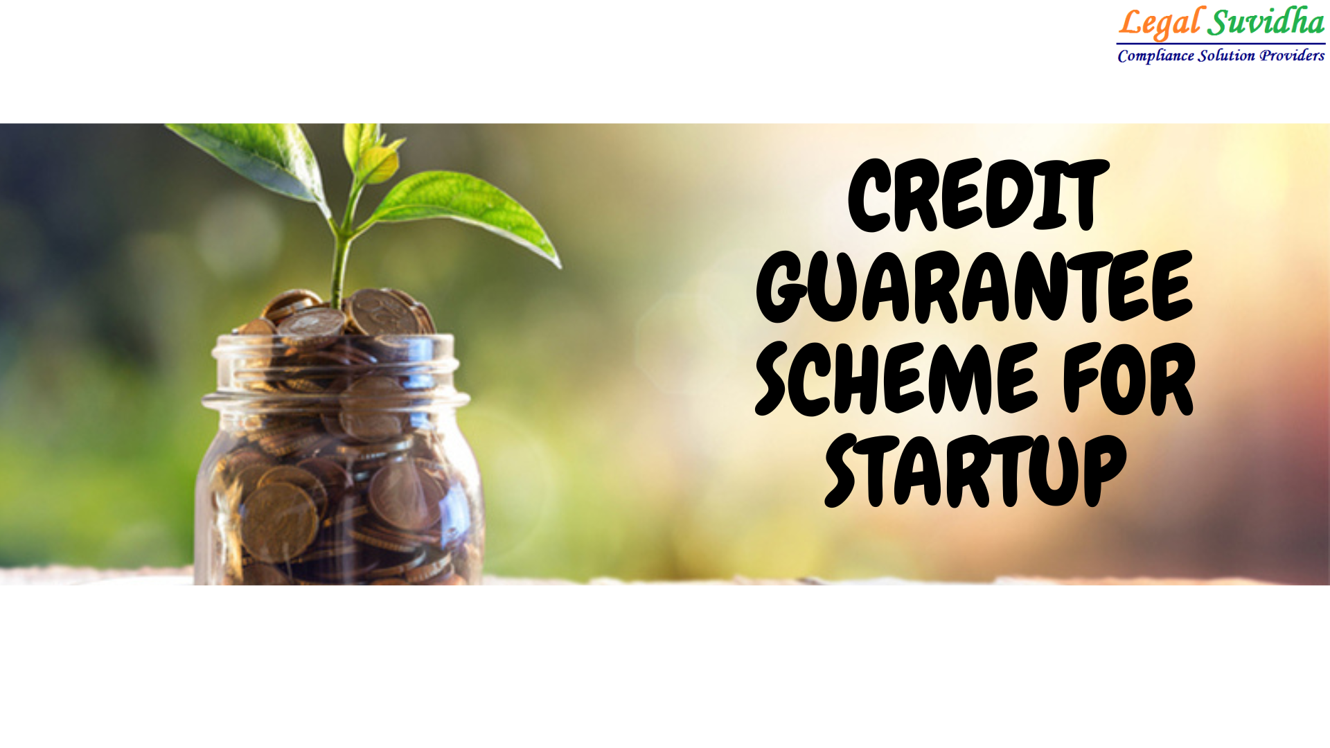 Credit Guarantee for Startups