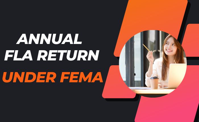 Annual FLA Report on Foreign Assets and Liabilities under FEMA