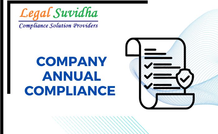 Company Annual Return