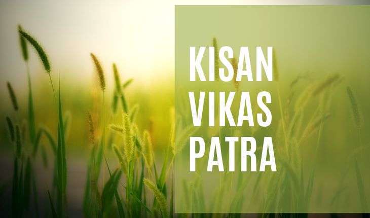 Are you a farmer? Learn how to claim tax deductions on your Kisan Vikas Patra contributions