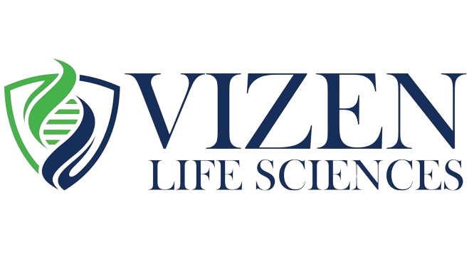 Home 10 VIzen